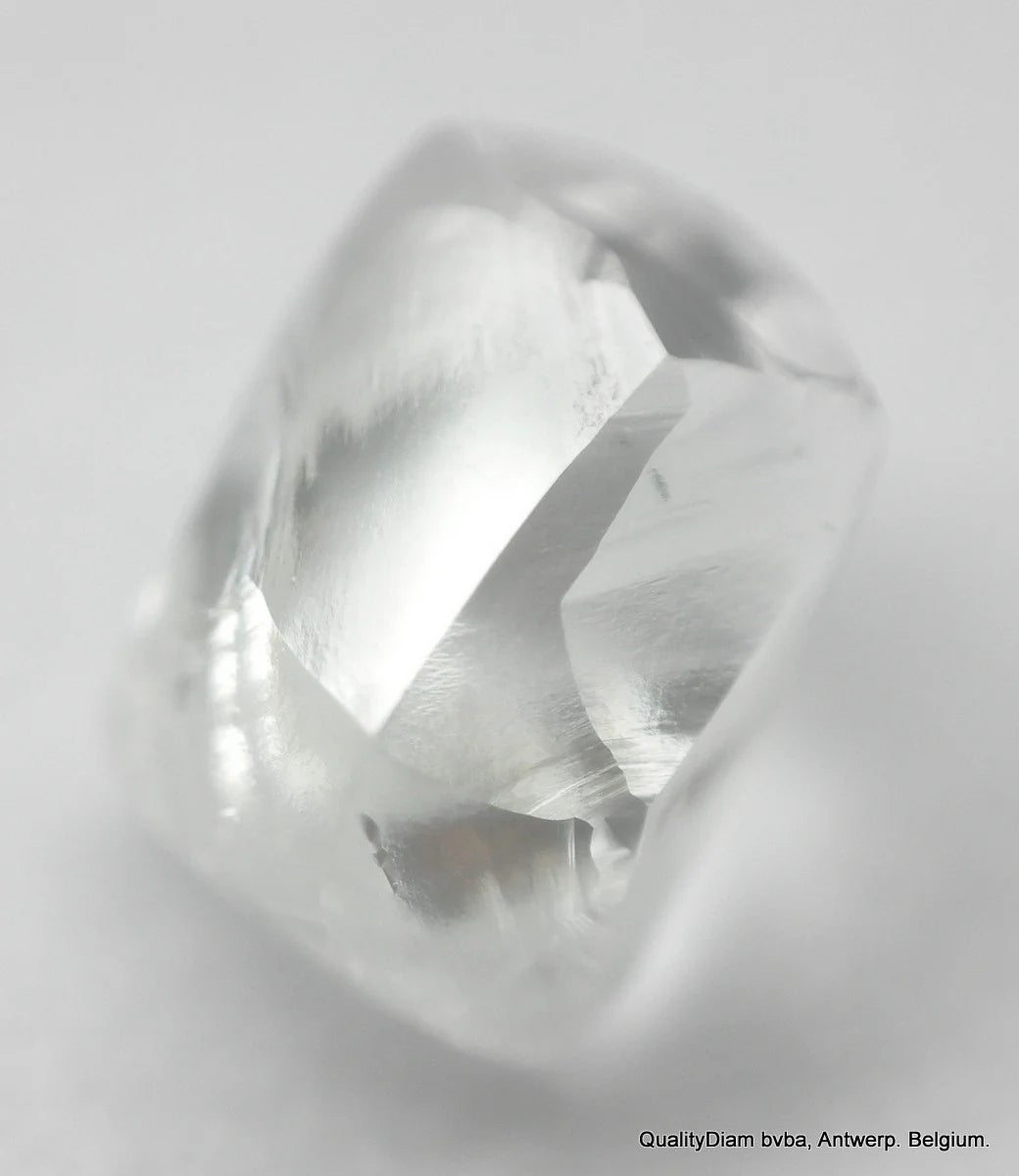 The Allure of White Rough Diamonds: Nature’s Purest Gems