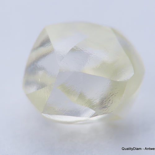 Clean White Rough Diamond High Value High Quality I Flawless Diamond 0.66 carat