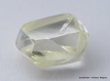 Jewelers Buy Rough Diamond Ready To Set In A Jewel. Recently Mined Uncut Diamond