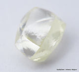 Jewelers Buy Rough Diamond Ready To Set In A Jewel. Recently Mined Uncut Diamond