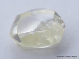 Jewelers Buy Rough Diamond Ready To Set In A Jewel. Recently Mined Uncut Diamond