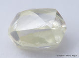 Jewelers Buy Rough Diamond Ready To Set In A Jewel. Recently Mined Uncut Diamond