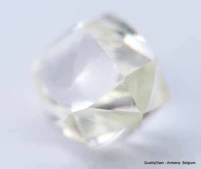 G VVS2 Real & beautiful diamond out diamond mine. natural, uncut gemstone