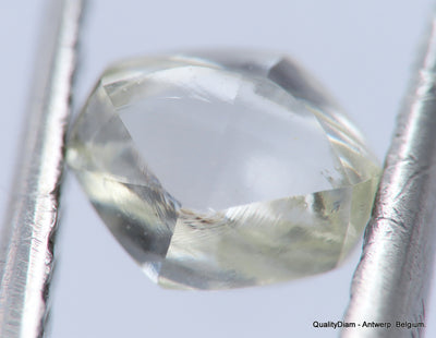 H VS1 0.39 Carat Diamond Out From Diamond Mine Precious Gemstone Natural Diamond