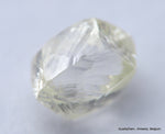 H VS2 0.40 Carat Diamond Out From Diamond Mine Precious Gemstone Natural Diamond