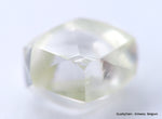 H VS2 0.43 Carat Diamond Out From Diamond Mine Precious Gemstone Natural Diamond