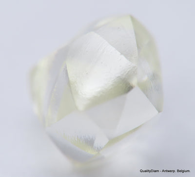 Clean White Rough Diamond High Value High Quality H Flawless Diamond 0.48 carat