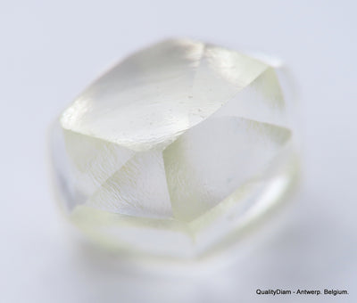 Clean White Rough Diamond High Value High Quality H Flawless Diamond 0.48 carat