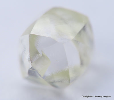 Clean White Rough Diamond High Value High Quality H Flawless Diamond 0.48 carat