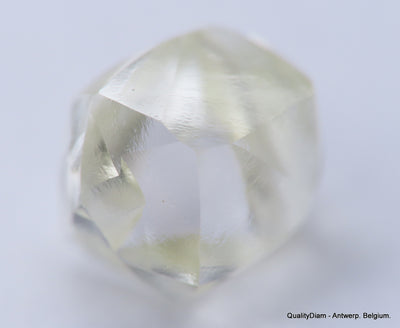 Clean White Rough Diamond High Value High Quality H Flawless Diamond 0.48 carat