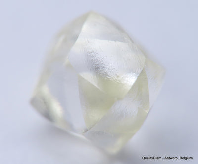 Clean White Rough Diamond High Value High Quality H Flawless Diamond 0.48 carat