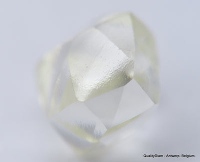 Clean White Rough Diamond High Value High Quality H Flawless Diamond 0.48 carat