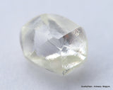 G VVS1 diamond ideal for uncut diamond jewelry. Out from a diamond mine 0.51 carat