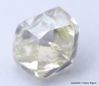 H VVS1 diamond ideal for uncut diamond jewelry. Out from a diamond mine 0.53 carat