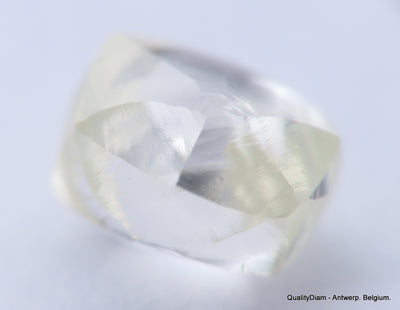 H VVS1 diamond ideal for uncut diamond jewelry. Out from a diamond mine 0.54 carat