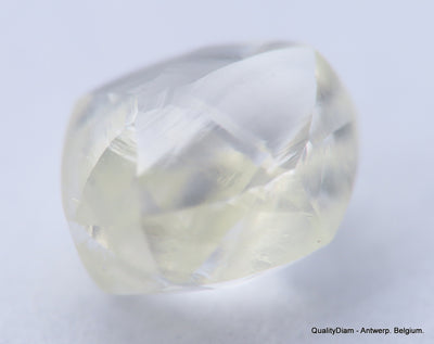 H VVS1 diamond ideal for uncut diamond jewelry. Out from a diamond mine 0.54 carat