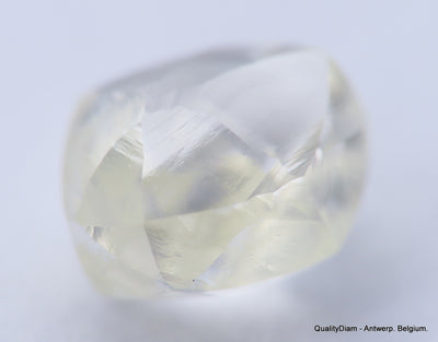 H VVS1 diamond ideal for uncut diamond jewelry. Out from a diamond mine 0.54 carat