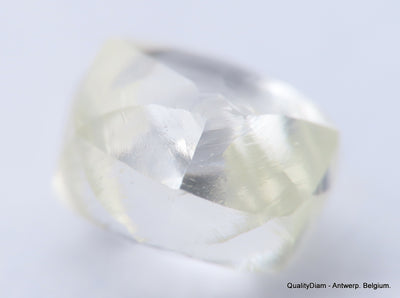 H VVS1 diamond ideal for uncut diamond jewelry. Out from a diamond mine 0.54 carat