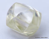 I VVS2 Real & beautiful diamond out diamond mine. natural, uncut gemstone. 0.55 carat