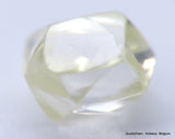 I VVS2 Real & beautiful diamond out diamond mine. natural, uncut gemstone. 0.55 carat