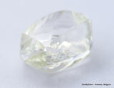 F VVS1 natural diamond ideal for uncut diamond jewelry. Out from a diamond mine 0.57 carat