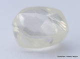 G VVS1 natural diamond ideal for uncut diamond jewelry. Out from a diamond mine 0.61 carat