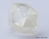 G VVS1 natural diamond ideal for uncut diamond jewelry. Out from a diamond mine 0.61 carat