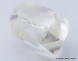 F VVS2 diamond ideal for uncut diamond jewelry. Out from a diamond mine 0.62 carat