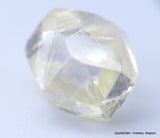 H VVS1 diamond ideal for uncut diamond jewelry. Out from a diamond mine 0.62 carat