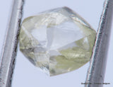 H VVS1 diamond ideal for uncut diamond jewelry. Out from a diamond mine 0.62 carat