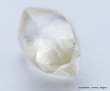 H VS1, 0.82 Carat Diamond Out From Diamond Mine Precious Gemstone Natural Diamond