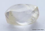 H VS1, 0.82 Carat Diamond Out From Diamond Mine Precious Gemstone Natural Diamond