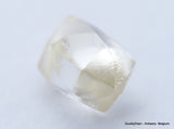 H VS1, 0.82 Carat Diamond Out From Diamond Mine Precious Gemstone Natural Diamond