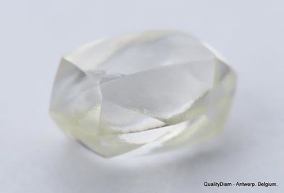 H VS1, 1.02 Carat Diamond Out From Diamond Mine Precious Gemstone Natural Diamond