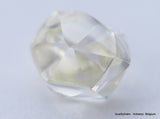 Clean White Rough Diamond High Value High Quality H Flawless Diamond 0.54 carat