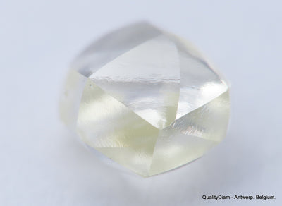 H VVS2 Real & beautiful diamond out diamond mine. natural, uncut gemstone 0.62 carat