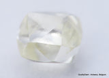 H VVS2 Real & beautiful diamond out diamond mine. natural, uncut gemstone 0.62 carat