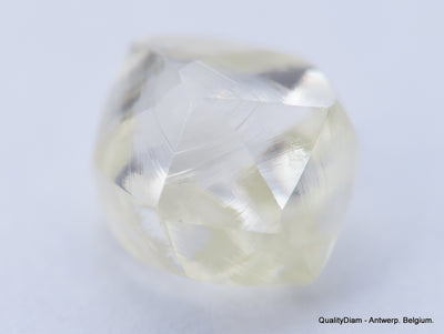 Clean White Rough Diamond High Value High Quality H Flawless Diamond 0.64 carat