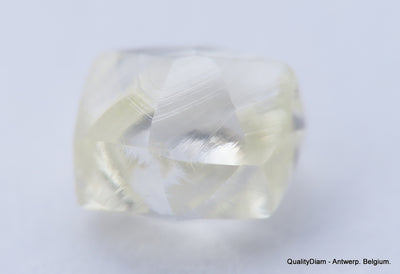 Clean White Rough Diamond High Value High Quality H Flawless Diamond 0.64 carat