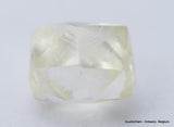 Clean White Rough Diamond High Value High Quality H Flawless Diamond 0.64 carat