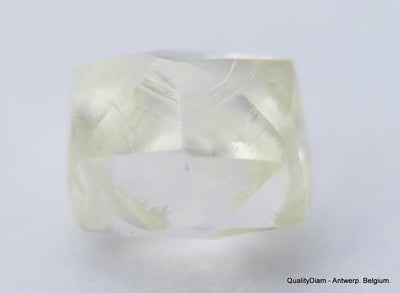 Clean White Rough Diamond High Value High Quality H Flawless Diamond 0.64 carat