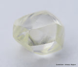 Clean White Rough Diamond High Value High Quality I Flawless Diamond 0.66 carat