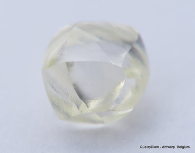 Clean White Rough Diamond High Value High Quality I Flawless Diamond 0.66 carat