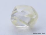 Clean White Rough Diamond High Value High Quality I Flawless Diamond 0.66 carat