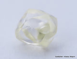 Clean White Rough Diamond High Value High Quality I Flawless Diamond 0.66 carat