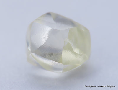 Clean White Rough Diamond High Value High Quality I Flawless Diamond 0.66 carat