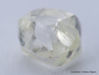 Clean White Rough Diamond High Value High Quality H Flawless Diamond 0.53 carat