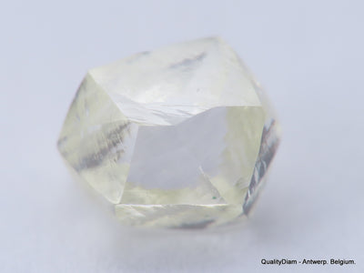 Clean White Rough Diamond High Value High Quality H Flawless Diamond 0.53 carat