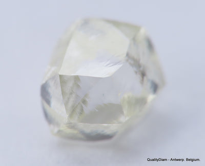 Clean White Rough Diamond High Value High Quality H Flawless Diamond 0.53 carat