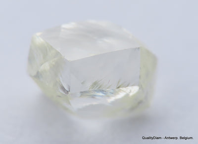 Clean White Rough Diamond High Value High Quality H Flawless Diamond 0.53 carat